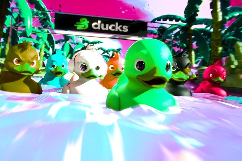 CCTV Duck River Fehler vermeiden – Die vier Wettarten: Zahlen, die Einsteiger oft falsch einschätzen